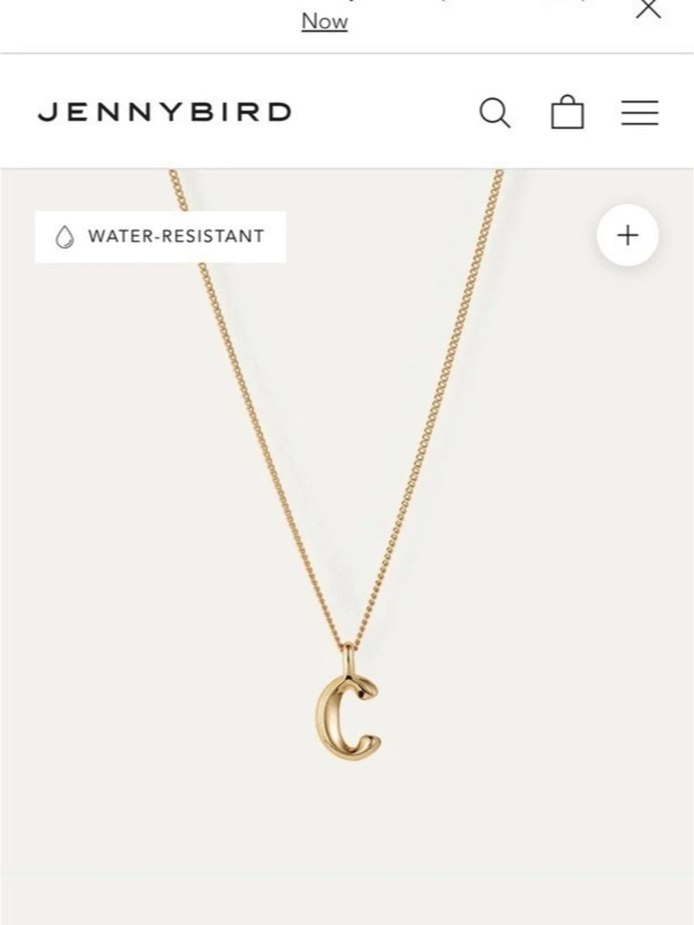Jenny Bird Monogram Necklace - C Gold